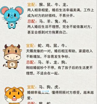 十二生肖中，谁最炙手可热？答案你意想不到！