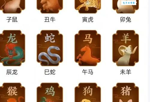十二生肖中，谁最炙手可热？答案你意想不到！