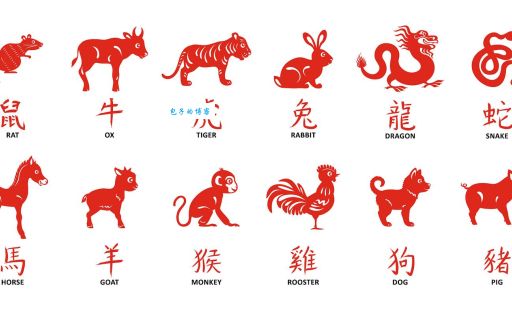 如愿以偿指的是哪个生肖？详解生肖含义！