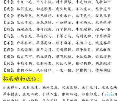 成语满坐寂然对应哪个生肖？深度解析生肖特性