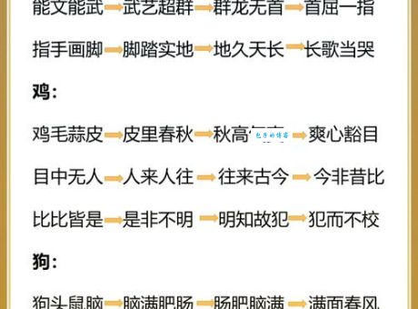 成语满坐寂然对应哪个生肖？深度解析生肖特性