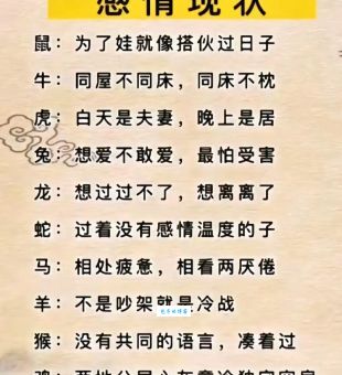 脱胎换骨打一生肖，揭秘背后的生肖故事！