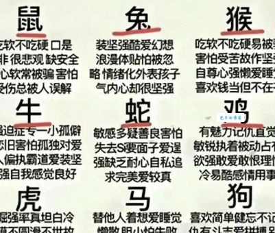 你知道干燥无味代表哪些生肖吗？速来了解