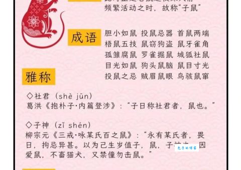 沾沾自喜是哪个生肖？十二生肖趣味解谜！