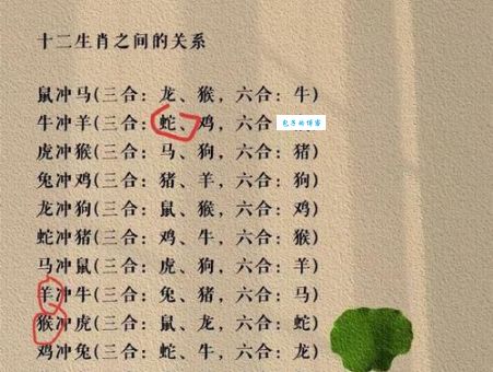 负荆请罪与十二生肖哪个最匹配？答案令人意外！