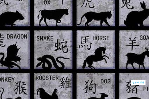 趣味猜生肖：抱瑜握瑾是哪一肖？答案让你意想不到