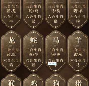 面黄肌瘦的生肖特征分析，快来对号入座！