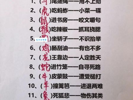 哪个生肖寸步难行？趣味解读生肖与行动能力