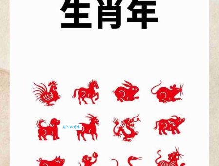 如痴如醉打一生肖是什么动物？答案揭晓！