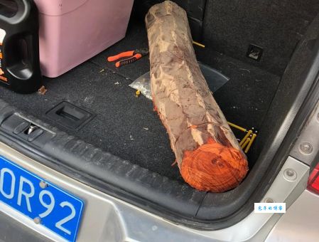 “车珠子”是什么梗？揭秘车珠子的真正含义
