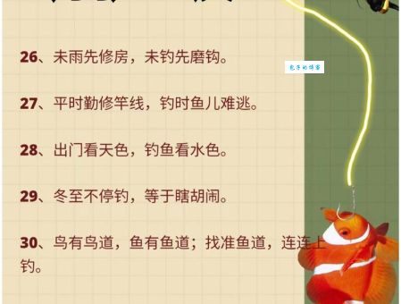 钓鱼执法是什么意思？简单解释钓鱼执法及相关法律规定