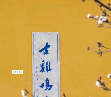 “鸡鸣寺的樱花开了”是什么意思？详解这句网络流行语的含义和用法