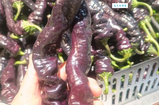 “捏捏族”行为解读：为何在超市捏食品泄愤？