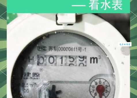 查水表是什么意思？双重含义深度解析及出处详解