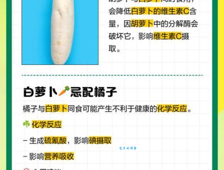 白萝卜不能和什么一起吃？这些食物搭配要小心！