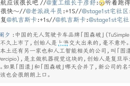 想知道图样图森破的解释是什么？这里有最全面的解答