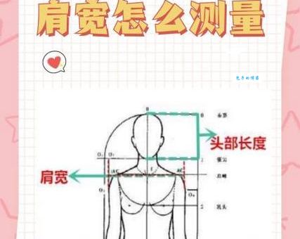 肩宽怎么量？最简单准确的测量方法及步骤