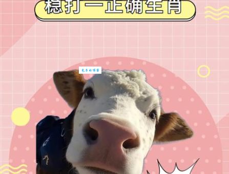 五斗折腰打一生肖是什么动物？答案揭晓，趣味生肖谜题！