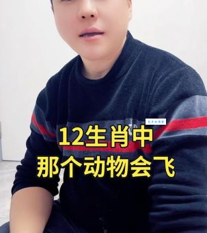 雏鹰展翅代表什么动物？快来测试你的生肖知识
