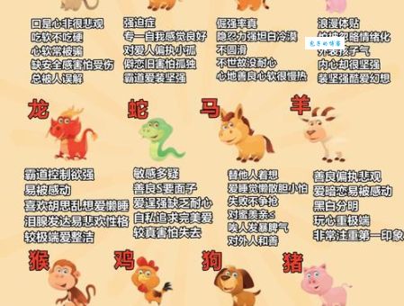 哪些生肖容易“呼应不灵”？详解生肖性格特点