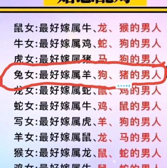 “三从四德”是哪个生肖的象征？揭秘生肖与传统女性道德的联系