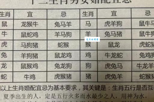 束身受命打一生肖动物是什么？答案揭晓！