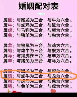 马马虎虎打一生肖是什么动物？答案揭晓！