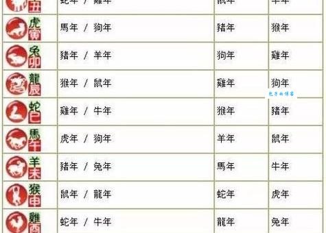 详解众多非一是指什么生肖？揭开生肖谜团