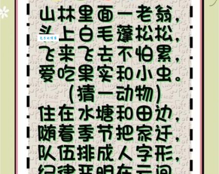 详解众多非一是指什么生肖？揭开生肖谜团