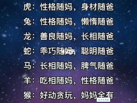 秀外慧中准确答案生肖是哪个？详解十二生肖性格