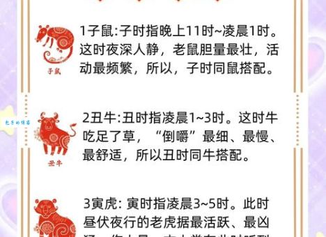 蛇入鼠出指什么生肖？带你了解生肖典故