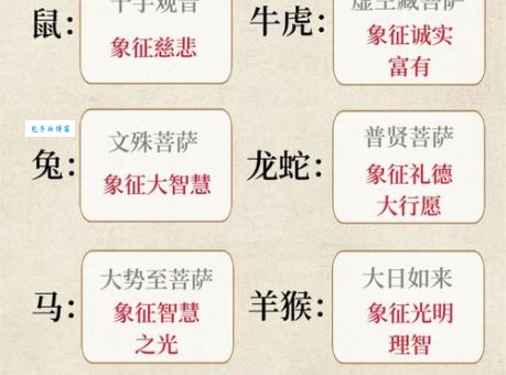 借花献佛是什么生肖？十二生肖谁最符合？