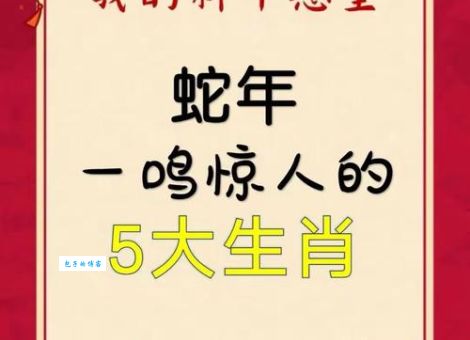 糖衣炮弹代表的生肖是？内幕答案大公开