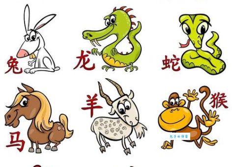千姿百态代表哪个生肖？测试你的生肖知识！