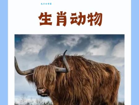 一言不合就动手？这些生肖的火爆脾气你了解吗？