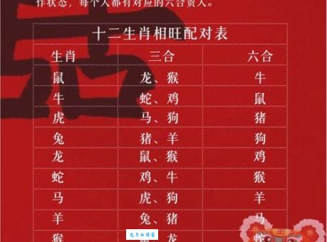 天海一家打一生肖是什么动物？答案揭晓！
