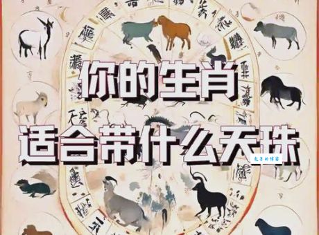 野外大地打一生肖是什么动物？答案揭晓！