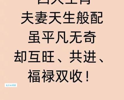 前车之鉴是哪个生肖？解谜答案及详细解释