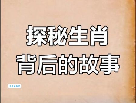 心如止水打一肖：揭秘平静生肖的秘密