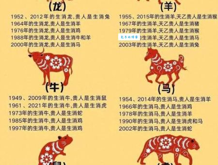 众多非一代表哪个生肖？十二生肖中隐藏的玄机