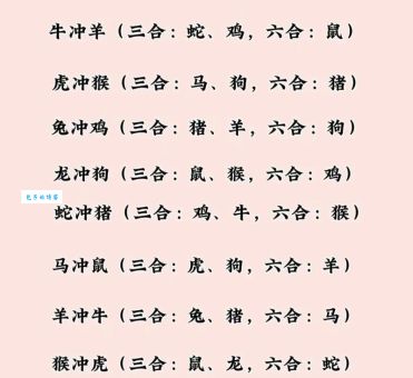 十五十六兄弟码代表什么生肖？快速解谜，答案就在这里！
