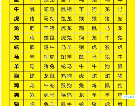 十二生肖里哪个最浴血奋战？答案可能让你意外！