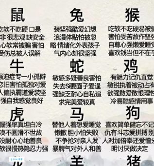 夜夜笙歌，十二生肖里谁最符合？内幕大公开