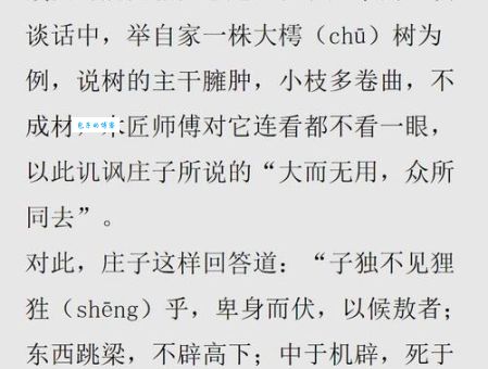 跳梁小丑是什么生肖？猴子是最佳答案吗？