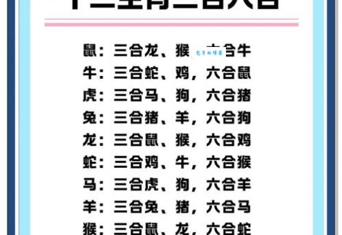 盛筵必散是哪个生肖动物？十二生肖中隐藏的玄机