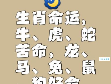 中途而废是什么生肖？这几个生肖最容易半途而废