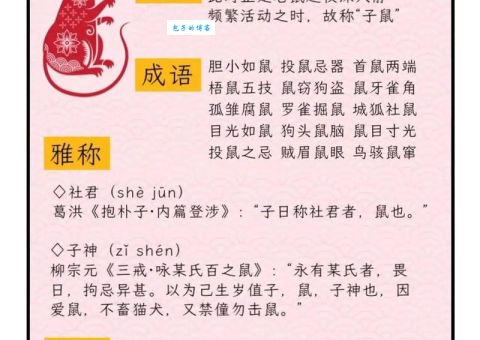 一道趣味谜题：风花雪月指的是什么生肖？