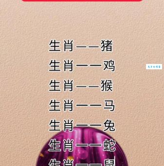 无奈花落去是什么生肖？猪鸡虎真的会中奖吗？