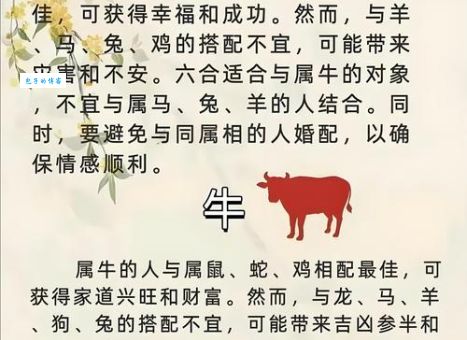 想知道春风得意是哪个生肖吗？答案可能让你意外