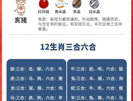 解谜高手请进：视而不见代表哪个生肖？
